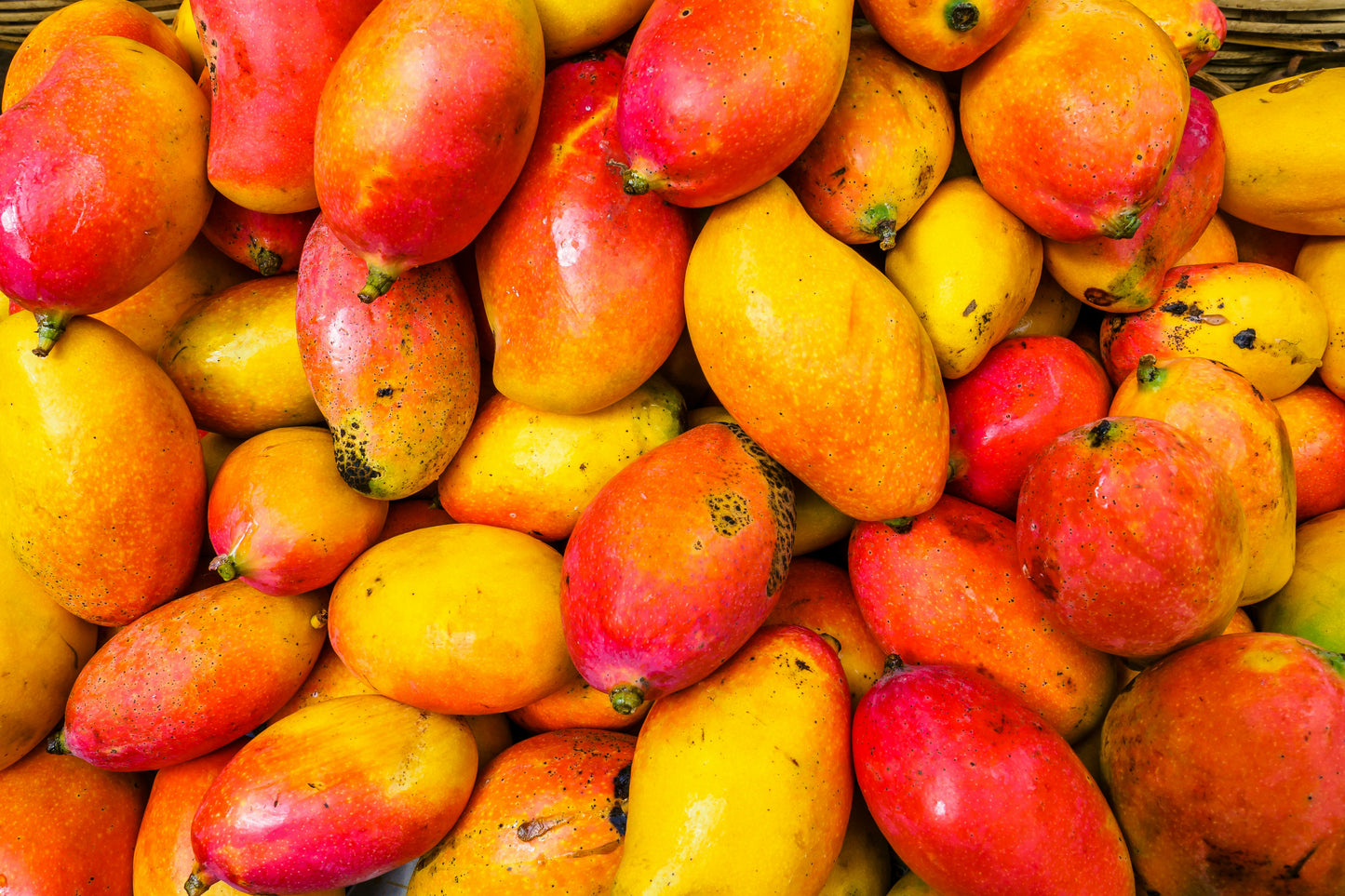 Mango Kiss Spritz