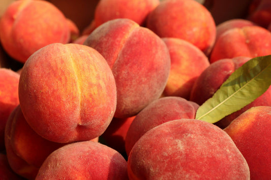 Peach Kiss Duo